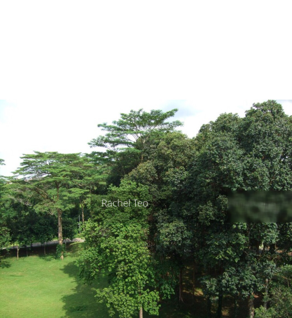 Blk 269 Bukit Batok East Avenue 4 (Bukit Batok), HDB 3 Rooms #154040512